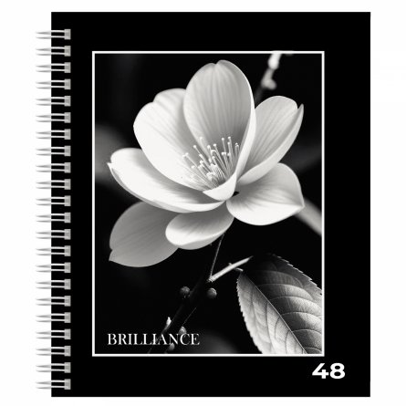 Тетрадь А5 48л., клетка, Alingar, гребень, блок офсет, мелованный картон (стандарт), "Белые цветы", 4 дизайна в пленке т/у фото 4