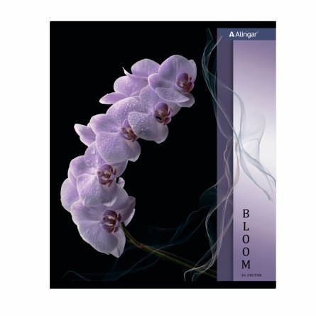 Тетрадь 36 л., А5, клетка, Alingar "Орхидеи", скрепка,  мелованный картон, 4 дизайна в пленке т/у фото 4