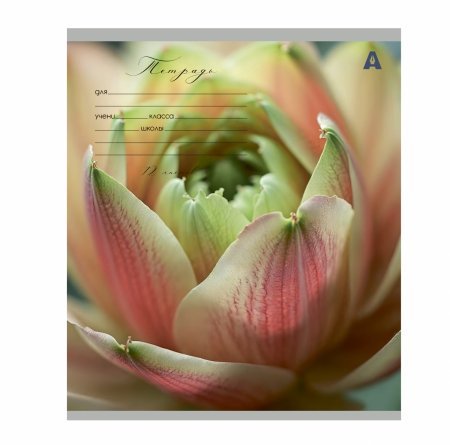 Тетрадь 12л., клетка, Alingar, скрепка, блок офсет, 100% белизна, мелованный картон (стандарт), "Цветы" фото 3