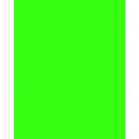 Бумага цветная для офиса А4, 50л., Неон "Зеленый ", Alingar, 80г/м2, пленка т/у фото 2