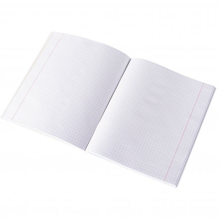 Тетрадь 12л., клетка, Alingar, скрепка, блок офсет, 100% белизна,  мелованный картон (стандарт), "Аниме" фото 10
