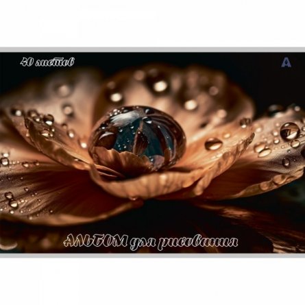 Альбом для рисования А4 40л., Alingar, на скрепке, мелованный картон (стандарт), 100 г/м2,  "Цветы", 2 дизайна в пленке т/у фото 3