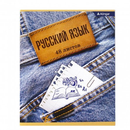 Тетрадь предметная "Русский язык"  А5 48л.,  со справочным материалом, на скрепке, мелованный картон, Alingar "Jeans" фото 1