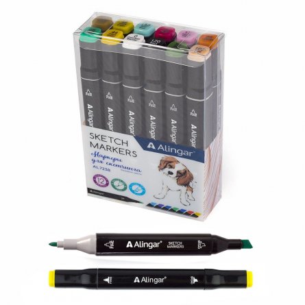 Набор скетчмаркеров DUO Alingar,12 цветов, базовые цвета, пулевидный/клиновидный 1-6 мм, спиртовая основа, ПВХ упаковка фото 1