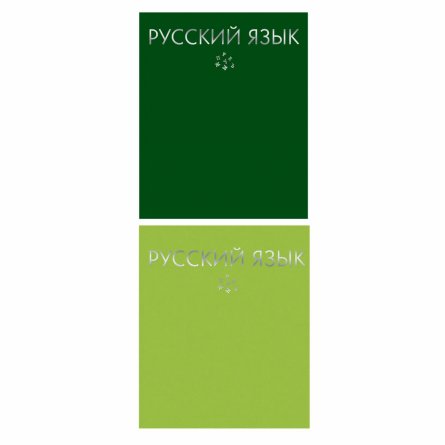 Тетрадь предметная "Русский язык. Color Drop", линия, А5, 48л., со справ. мат-ом, скрепка, обл. тонир. картон, тисн. фольгой серебро, Канц-Эксмо фото 2