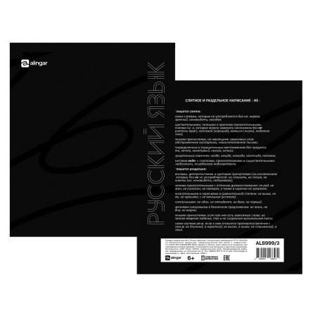 Тетрадь предметная "Русский язык" А5 48л., линия, со справ. матер, скрепка, мелованный картон (стандарт), блок офсет, Alingar "Предметы на чёрном" фото 2
