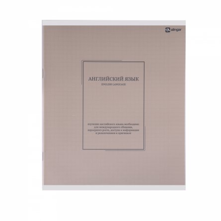 Тетрадь предметная "Английский язык" А5 48л., клетка, со справ матер, скрепка, прозрачная пластиковая обложка, блок офсет, Alingar "Classic NEW" фото 1