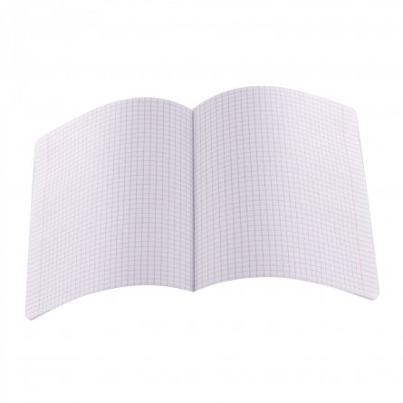 Тетрадь 24л., клетка, обложка пластик, Alingar, скрепка, блок офсет, 100% белизна,  "Микс пастель", 5 дизайнов в пленке т/у фото 4