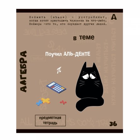 Тетрадь предметная  36л. А5 "Алгебра", клетка, со справочным материалом, скрепка, мелованный картон (стандарт), блок офсет, Alingar "Тема" фото 1