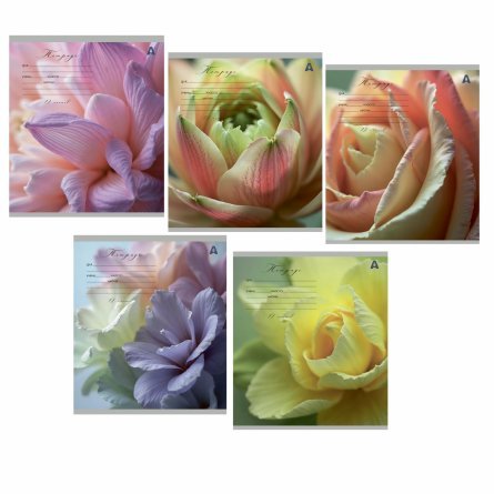 Тетрадь 12л., клетка, Alingar, скрепка, блок офсет, 100% белизна, мелованный картон (стандарт), "Цветы" фото 1