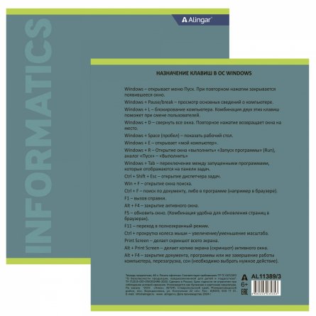 Тетрадь предметная "Инфороматика" А5 48л.,  клетка, со справочным материалом, скрепка, мелованный картон (стандарт), блок офсет, Alingar "Классика" фото 2
