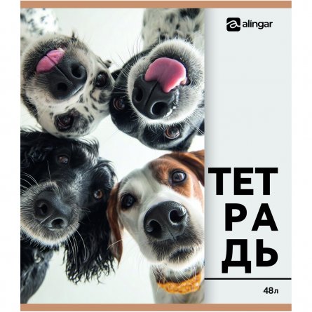 Тетрадь 48л., А5, клетка, Alingar "Собачки-кошечки", скрепка, мелованный  картон, блок офсет, 5 дизайнов в пленке т/у фото 2
