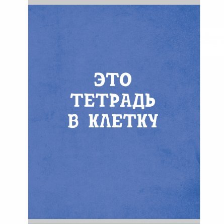 Тетрадь 48л., А4, клетка, Канц-Эксмо "Голубая в клетку", скрепка, мелованный картон, фото 1