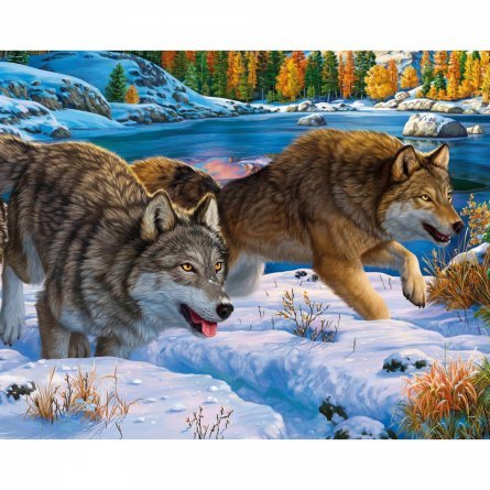 Картина по номерам Рыжий кот, 17х22 см, с акриловыми красками, холст, "Бегущие волки" фото 1
