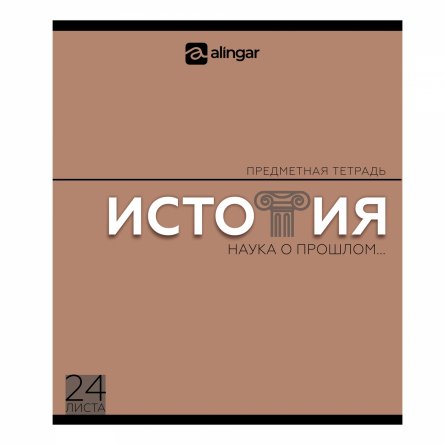 Комплект предметных тетрадей А5 24л., 8 предметов, со справ. материалом, скрепка, мелованный картон (стандарт), блок офсет, Alingar "Классика" фото 7
