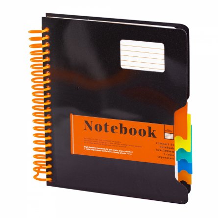 Тетрадь 200л., А5, клетка, Alingar, цветная спираль, пластиковая обложка с информ. окном, цветные пластиковые разделители, чёрный фото 1