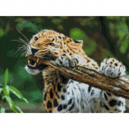 Алмазная мозаика Рыжий кот, без подрамника, на картоне, с полным заполнением, (класс.), 30х40 см, 27 цветов, "Свирепый леопард" фото 1