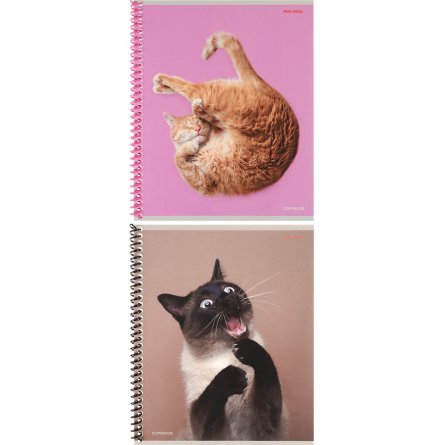 Тетрадь 48л., А5, клетка, Проф-Пресс, "Такие смешные кошки" цветная спираль, мелованный бумага фото 1