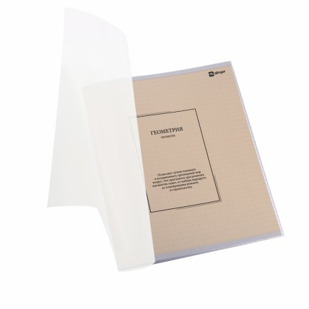 Комплект предметных тетрадей А5 48л., 10 предметов, со справ. матер, скрепка, пластиковая прозрачная обложка, блок офсет,Alingar "Classic NEW" фото 9