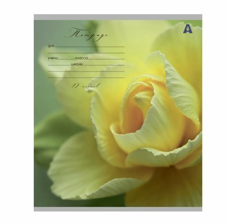 Тетрадь 12л., клетка, Alingar, скрепка, блок офсет, 100% белизна, мелованный картон (стандарт), "Цветы" фото 6