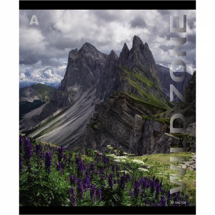 Тетрадь 36 л., А5, линия, Alingar, "Wild zone", скрепка, офсет, мелованная бумага, 5 дизайнов в пленке т/у фото 4