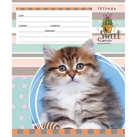 Тетрадь 12л., линия, Проф-Пресс "Пушистый котенок", скрепка, мелованный картон фото 5