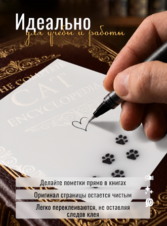 Прозрачные стикеры для заметок с клеевым краем, Alingar, 75*75 мм, 50 л., "Сat TRACKS", голубой, покрытие starlight touch, водонепрониц., европодвес фото 3