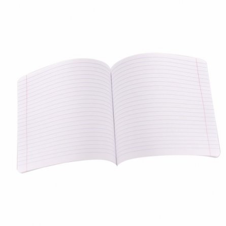 Тетрадь 24л., линия, обложка пластик, Alingar, скрепка, блок офсет, 100% белизна,  "Зелёный пастель" фото 6