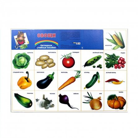 Плакат А2 Миленд "Овощи" фото 1