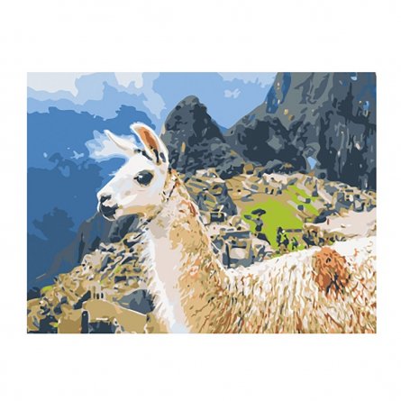 Картина по номерам Рыжий кот, 30х40 см, с акриловыми красками, холст, "Перуанская лама" фото 1