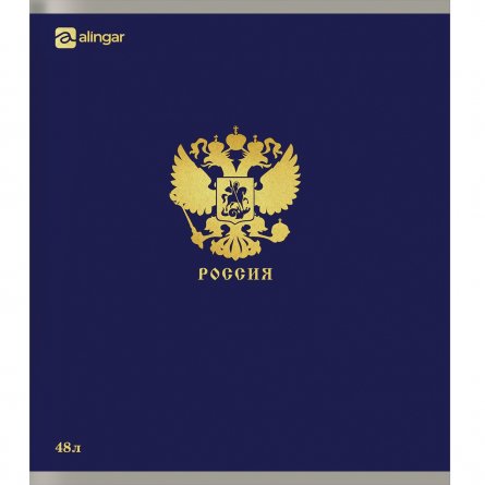 Тетрадь 48л., А5, клетка, Alingar "Россия", скрепка, мелованный  картон, блок офсет, 5 дизайнов в пленке т/у фото 6