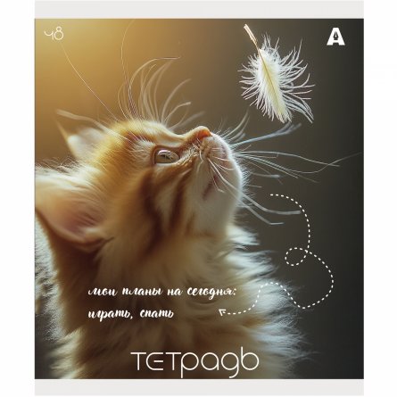Тетрадь 48л., А5, клетка, Alingar "Кошки", скрепка, мелованый  картон ( стандарт), блок офсет, 5 дизайнов в пленке т/у фото 4