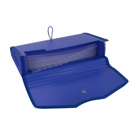 Папка-картотека Alingar, 260х140 мм, 900 мкм, на пуговице, пластик, 12 отделений, синий фото 2