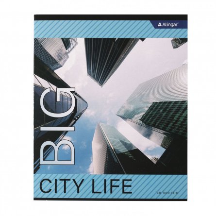 Тетрадь 48л., А5, клетка, Alingar "Города", скрепка, мелованный картон (эконом), 4 дизайна в пленке т/у фото 6