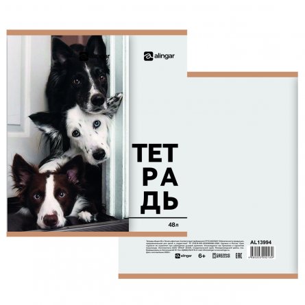Тетрадь 48л., А5, клетка, Alingar "Собачки-кошечки", скрепка, мелованный  картон, блок офсет, 5 дизайнов в пленке т/у фото 7