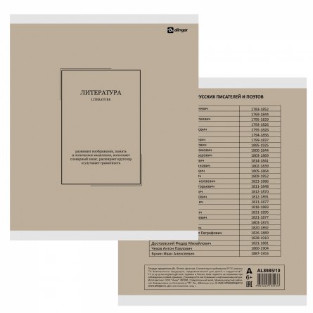 Комплект предметных тетрадей А5 48л., 10 предметов, со справ. матер, скрепка, пластиковая прозрачная обложка, блок офсет,Alingar "Classic NEW" фото 16