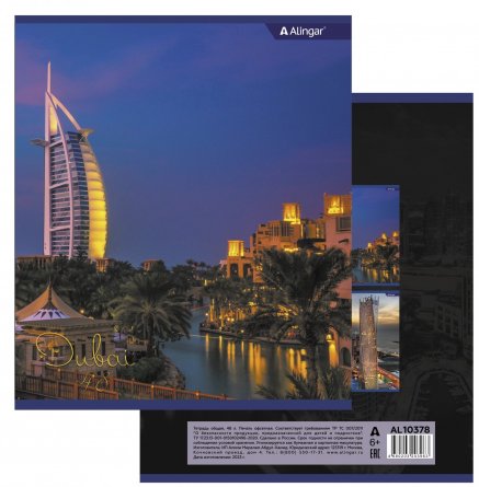 Тетрадь 48л., А5, линия, Alingar "Дубай", скрепка, мелованный картон (стандарт), блок офсет, 2 дизайна в пленке т/у фото 9