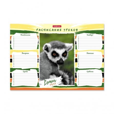 Расписание уроков А4, Erich Krause "Lemur Style" фото 1