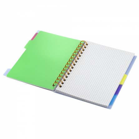 Тетрадь 120л., А5, клетка, Alingar, гребень, пластиковая обложка с информ. окном, цветные пластиковые разделители, ассорти 4 цвета фото 8