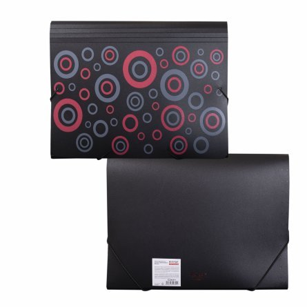 Папка-картотека на резинке  Alingar, A4, "Black C", 328х235х32 мм, 600 мкм, 13 отделений, цветная, матовая фото 8