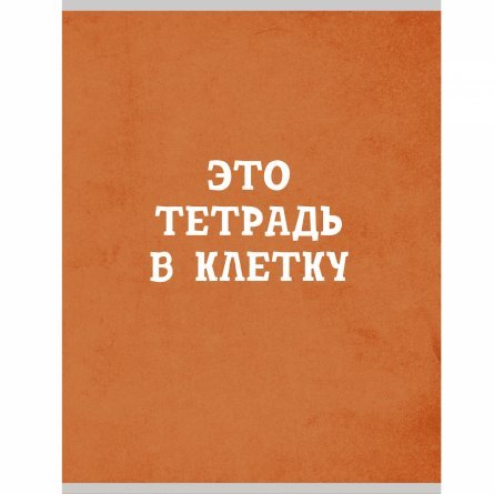 Тетрадь 48л., А4, клетка, Канц-Эксмо "Оранжевая в клетку", скрепка, мелованный картон фото 1
