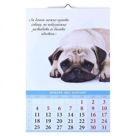 Календарь настенный перекидной, гребень, ригель, 320 мм. * 480 мм, Атберг 98 "Забавные щенки" 2021 г. фото 1