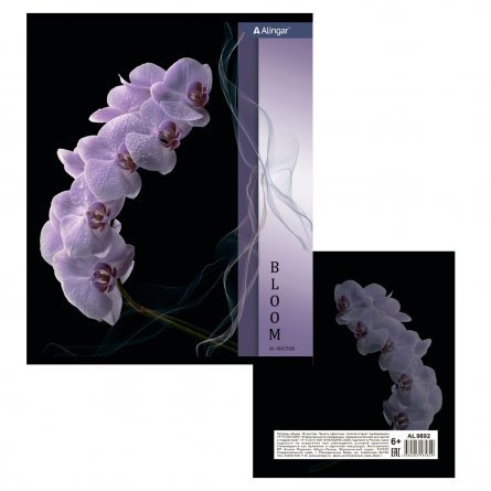 Тетрадь 36 л., А5, клетка, Alingar "Орхидеи", скрепка,  мелованный картон, 4 дизайна в пленке т/у фото 5
