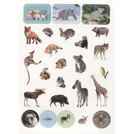 Книга с наклейками, Проф-Пресс, " 100 наклеек. Мир животных" фото 4
