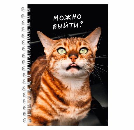 Тетрадь 80л., А5, клетка, Канц-Эксмо "Котики", гребень, мелованный картон, твин-лак фото 1