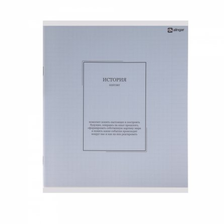 Комплект предметных тетрадей А5 48л., 10 предметов, со справ. матер, скрепка, пластиковая прозрачная обложка, блок офсет,Alingar "Classic NEW" фото 29