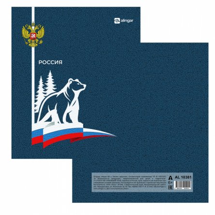 Тетрадь 48л., А5, клетка, Alingar "Россия", скрепка, мелованный картон (стандарт), блок офсет, 4 дизайна в пленке т/у фото 7