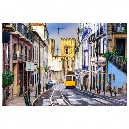 Картина по номерам Рыжий кот, 40х50 см, с акриловыми красками, холст, "Яркая Португалия" фото 1