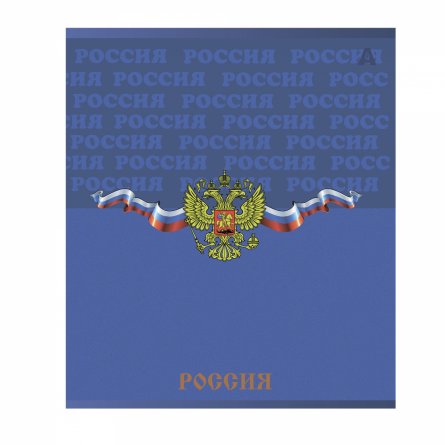 Тетрадь 48л, А5, клетка, Alingar, "Символика России", скрепка,мелованный картон (стандарт), выб УФ лак,  блок офсет, 5 дизайнов в пленке т/у фото 2
