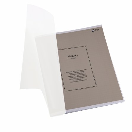 Комплект предметных тетрадей А5 48л., 10 предметов, со справ. матер, скрепка, пластиковая прозрачная обложка, блок офсет,Alingar "Classic NEW" фото 4